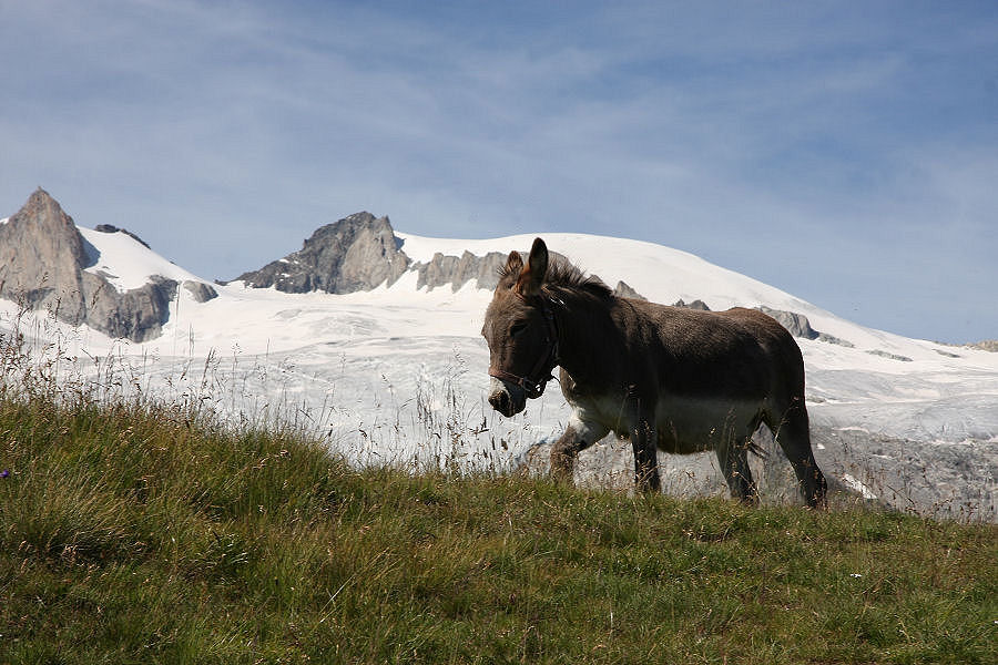 Vacanze nel Vallese (CH)